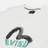 Evisu