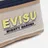 Evisu