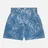 Evisu