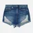 Evisu