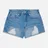Evisu