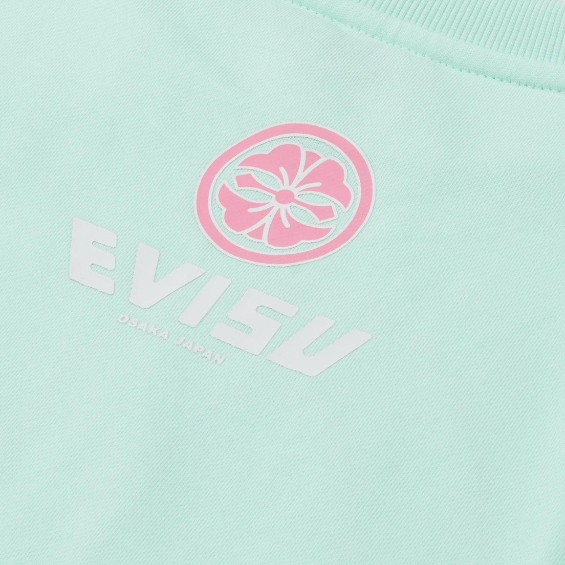 Evisu Женская толстовка Seagull Daruma Plastisol Print Cropped