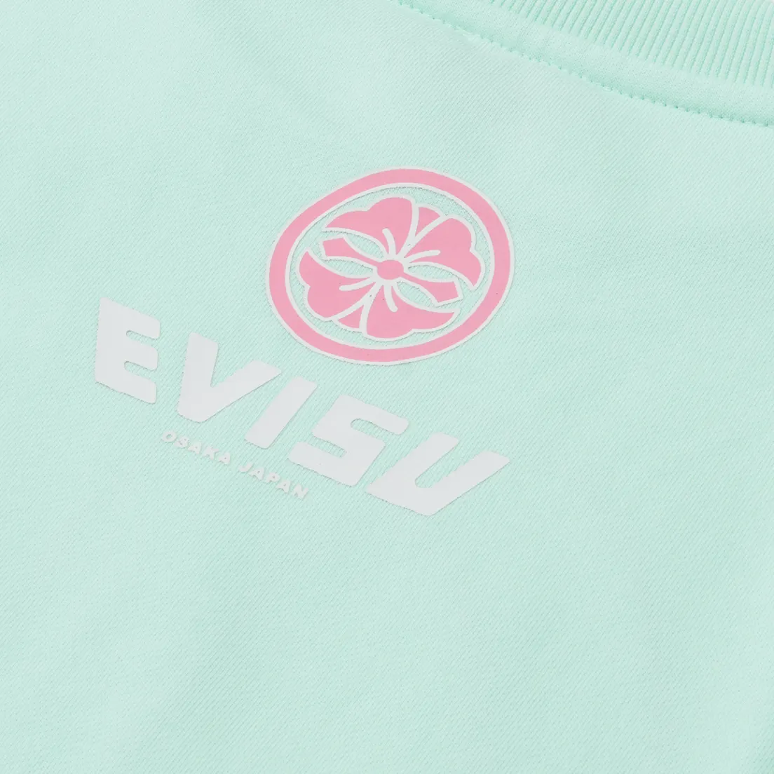 Evisu Женская толстовка Seagull Daruma Plastisol Print Cropped