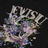 Evisu