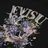 Evisu