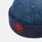 Evisu
