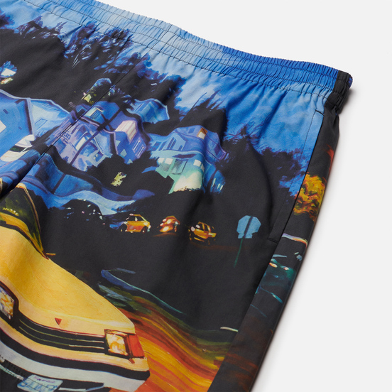 Мужские шорты MSGM x Seth Armstrong Capsule Print 1 Multicolor