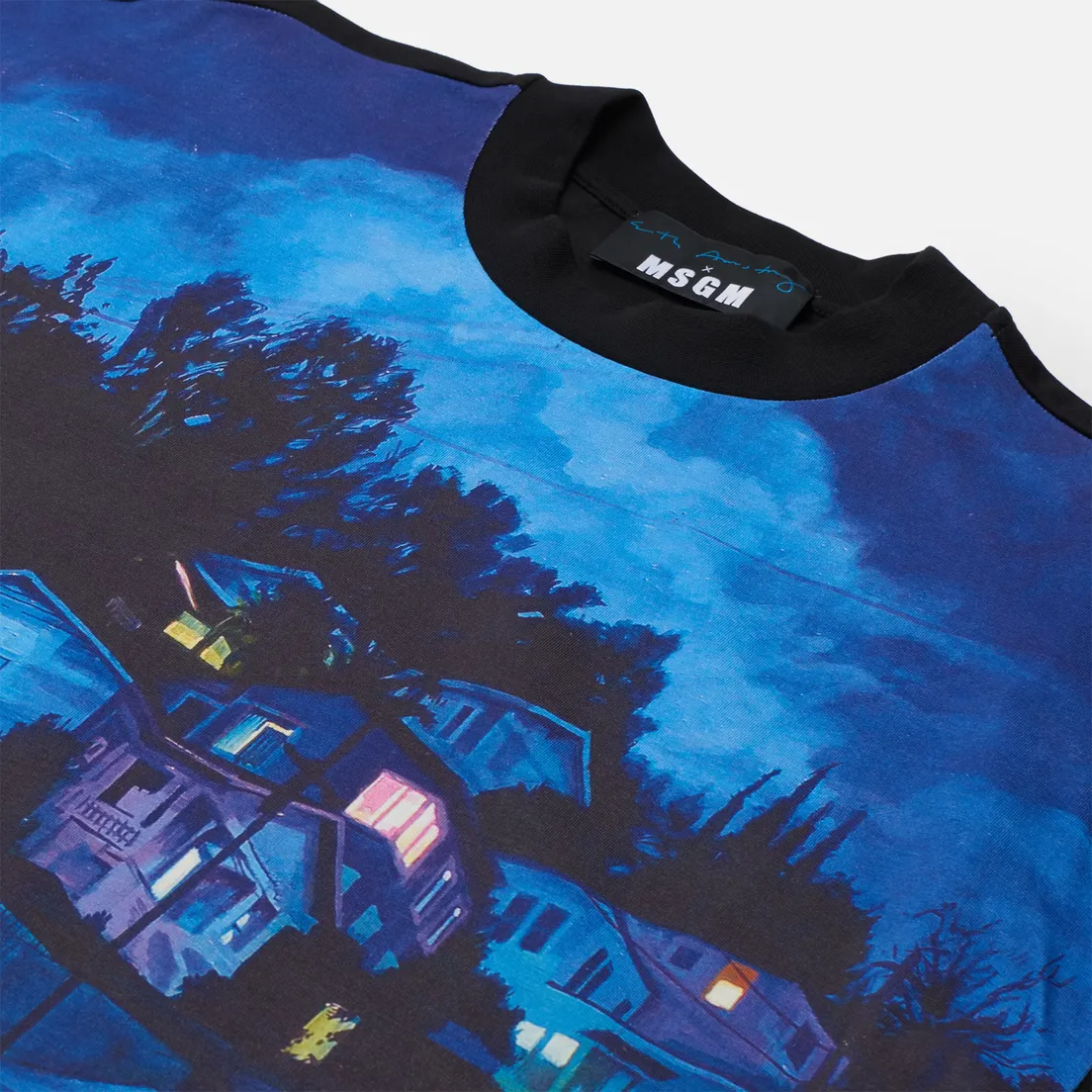 MSGM Мужская футболка x Seth Armstrong Capsule Print 1