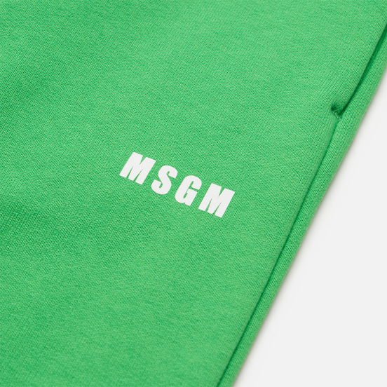 Женские брюки MSGM Micrologo Seasonal Classic Green/White