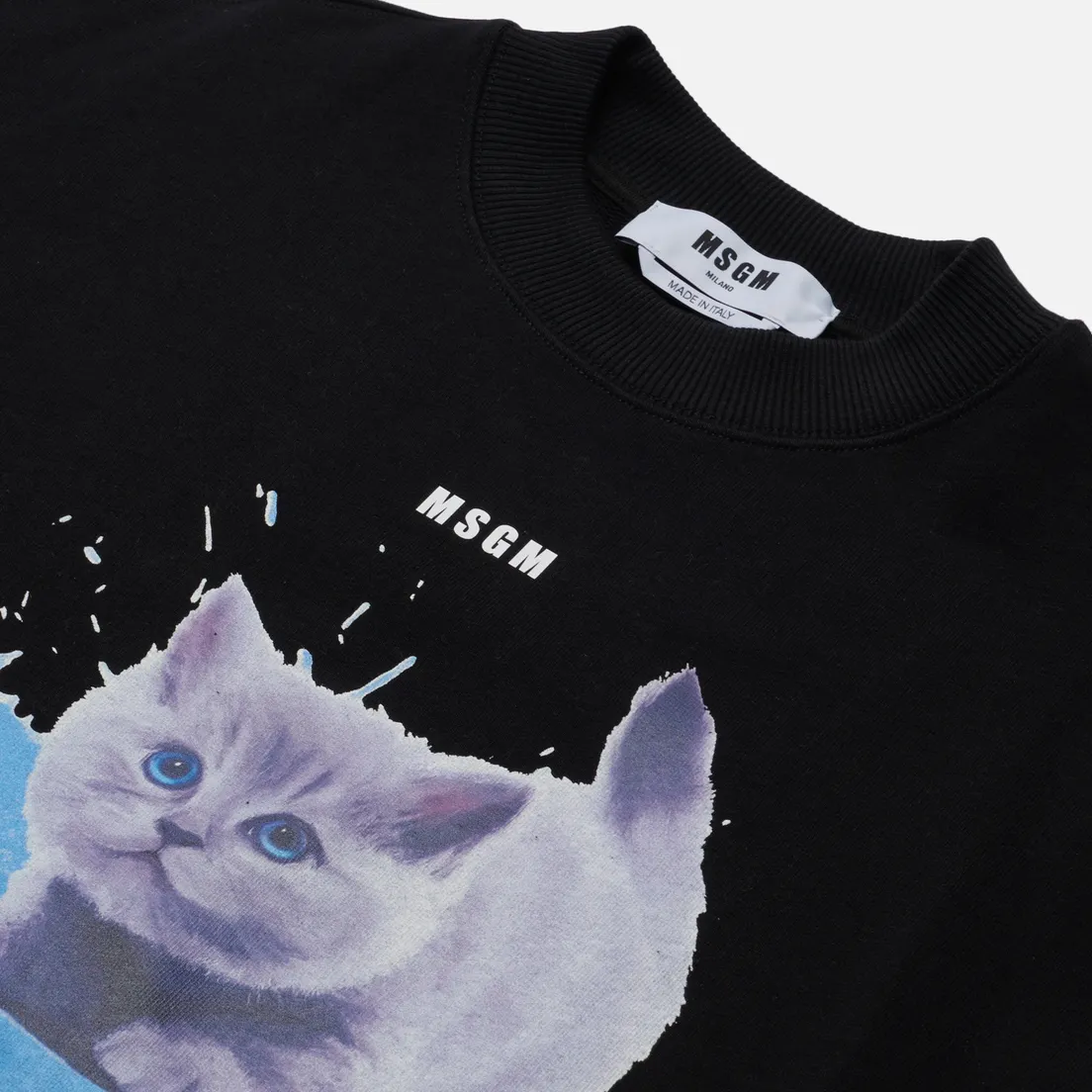 MSGM Женская толстовка Kitten Micrologo Crew Neck