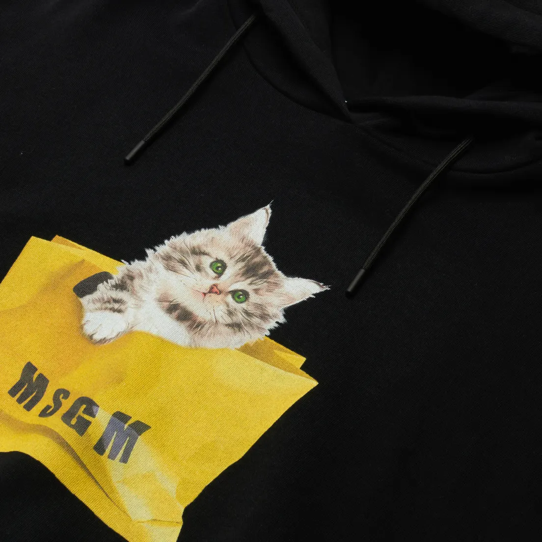 MSGM Женская толстовка Kitten Bag Maxilogo Hoodie