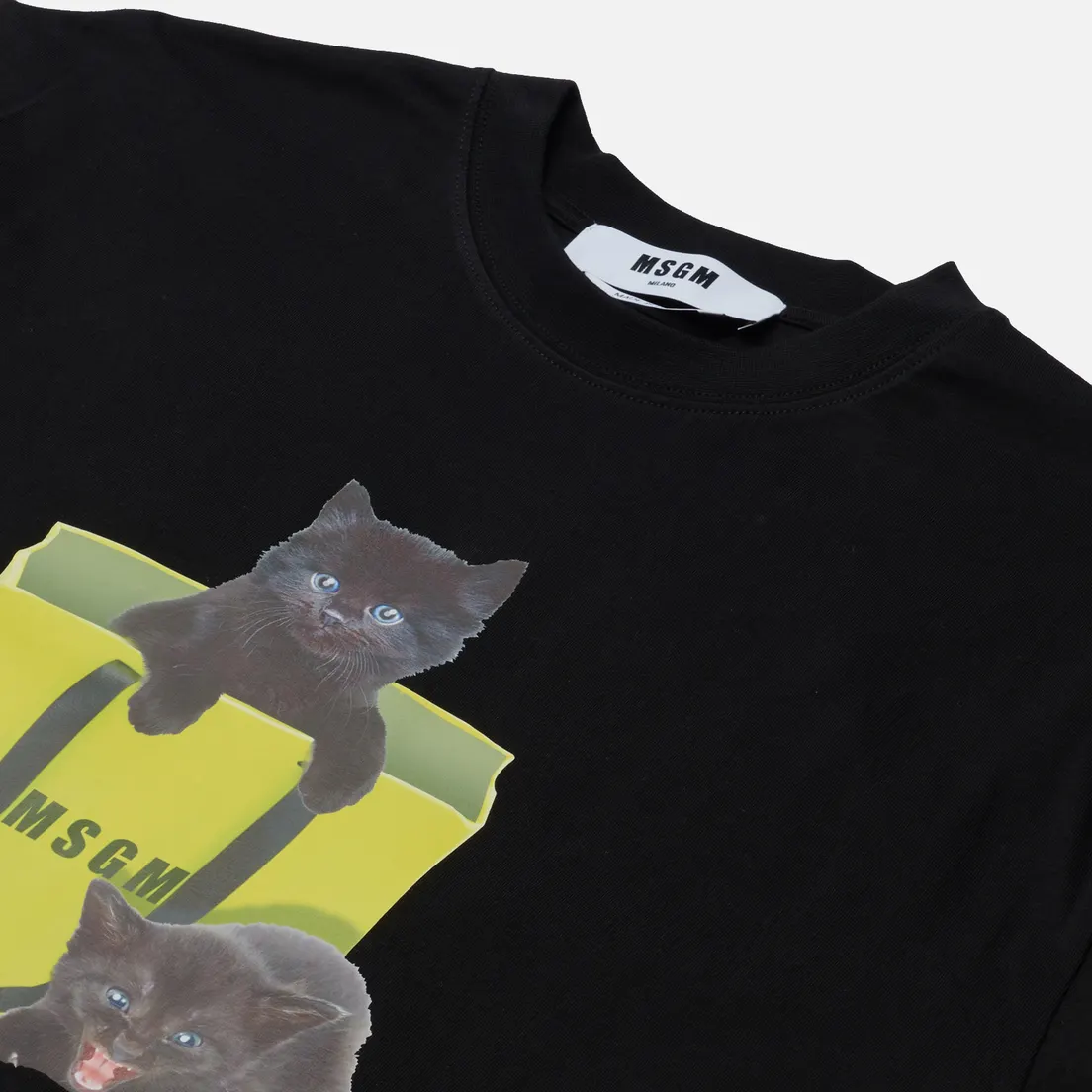 MSGM Женская футболка Three Kittens
