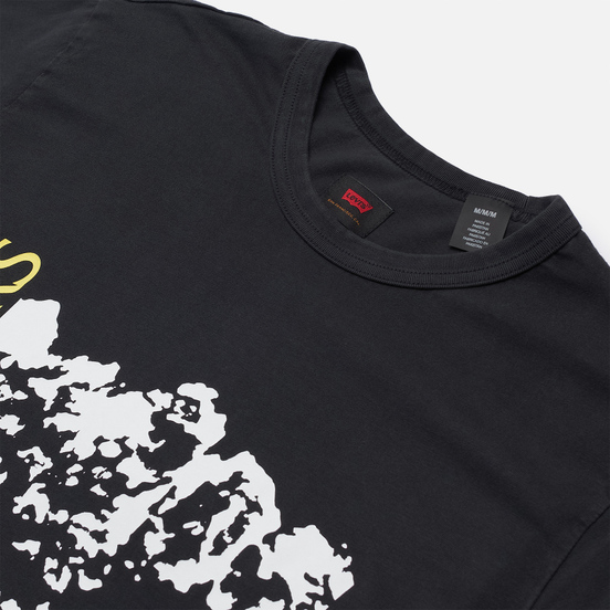 Мужская футболка Levi's Skateboarding Graphic LSC Limelight Peak Freak Multi