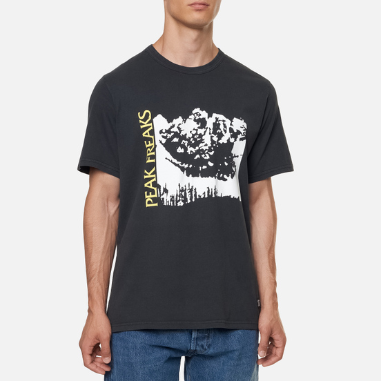 Мужская футболка Levi's Skateboarding Graphic LSC Limelight Peak Freak Multi
