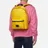 MSGM