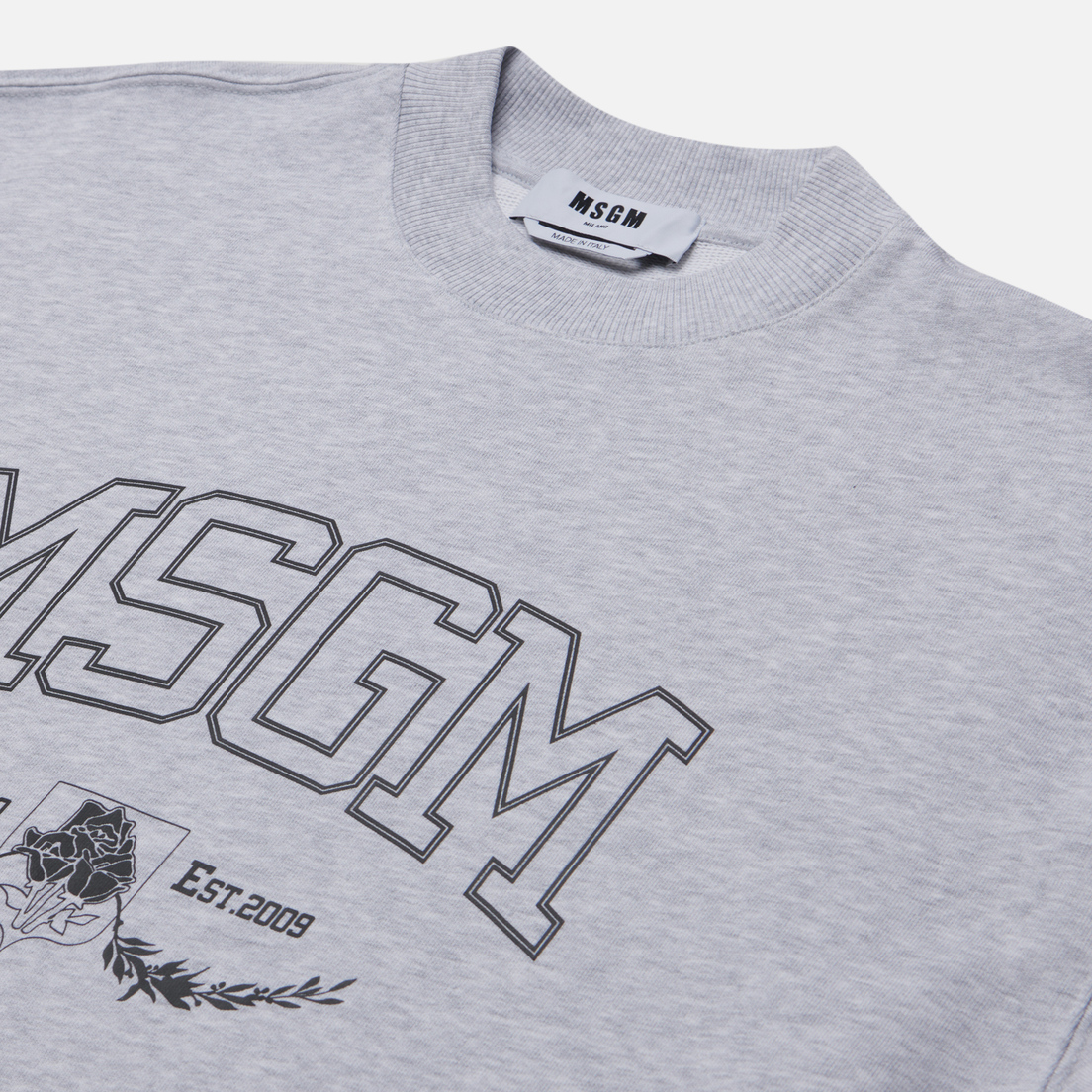 MSGM Мужская толстовка College Est. 2009 Print