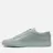 Common Projects