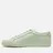 Common Projects