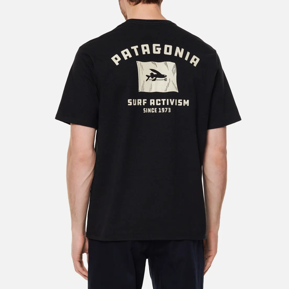 Patagonia Мужская футболка Fly The Flag Responsibili-Tee