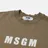 MSGM