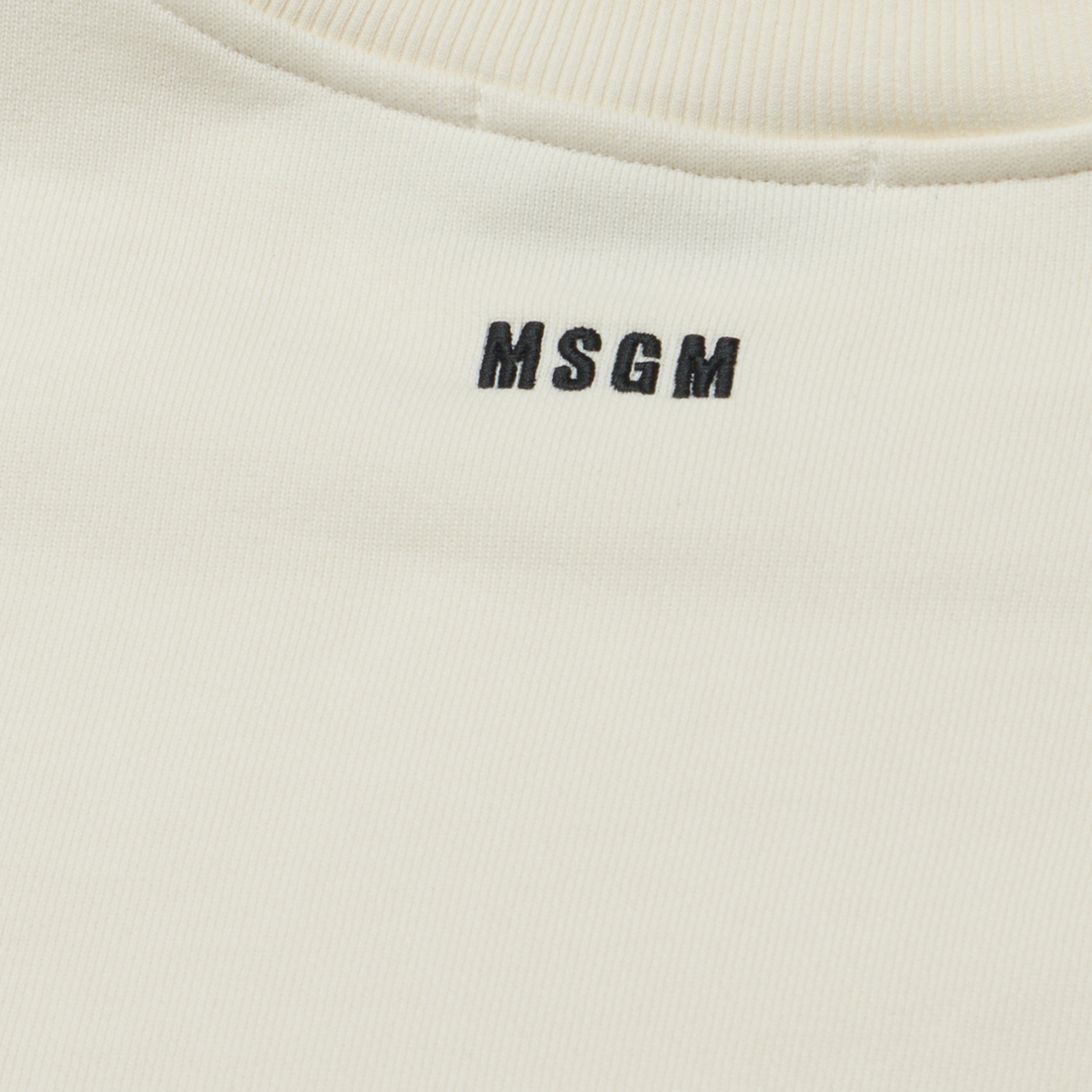 MSGM Мужская толстовка Monogram Patch