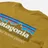 Patagonia