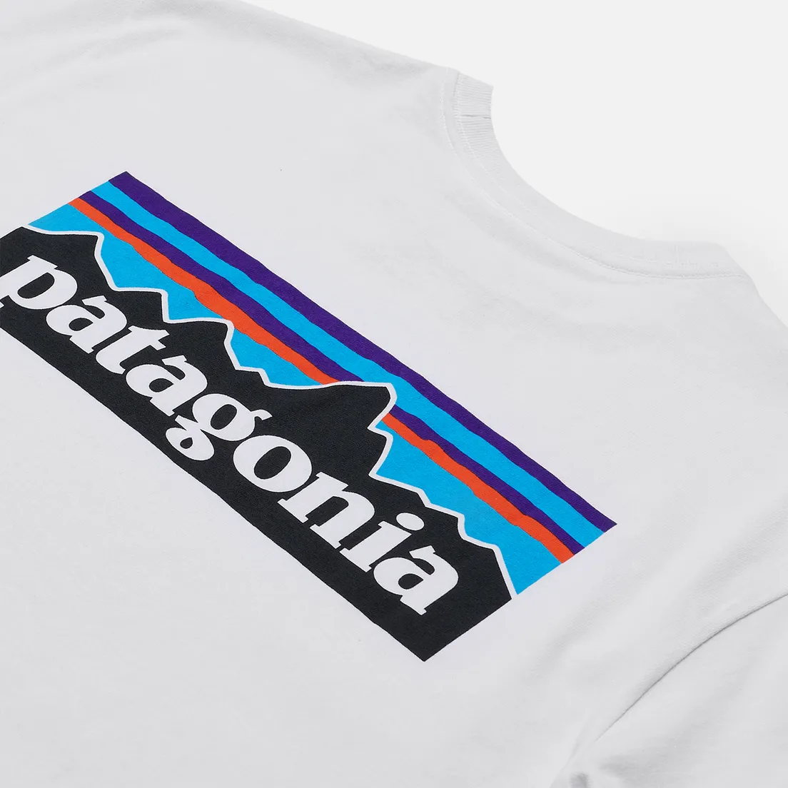 Patagonia Мужская футболка P-6 Logo Responsibili-Tee
