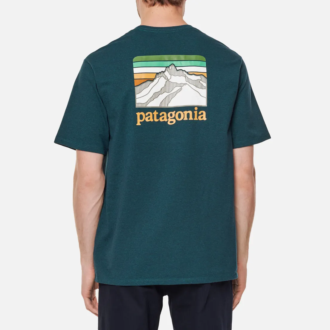Patagonia Мужская футболка Line Logo Ridge Pocket Responsibili-Tee