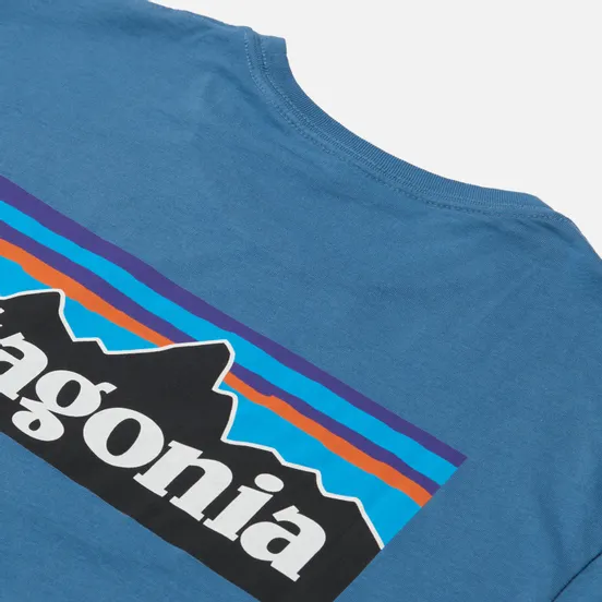 Patagonia Мужская футболка P-6 Logo Organic