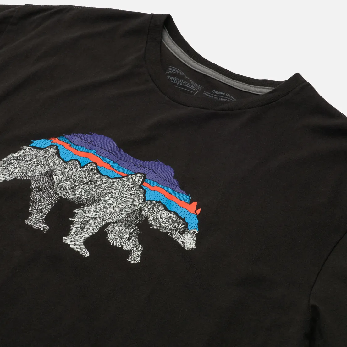 Patagonia Мужская футболка Back For Good Organic