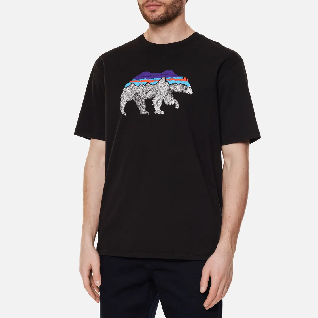Patagonia Мужская футболка Back For Good Organic
