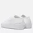 Common Projects