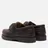 Aigle