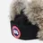 Canada Goose