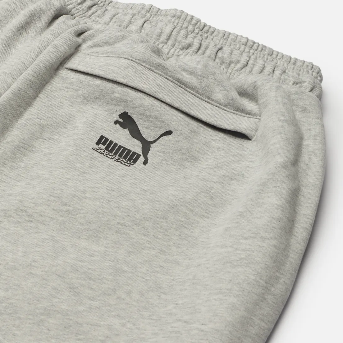 Puma Мужские брюки x Santa Cruz Print