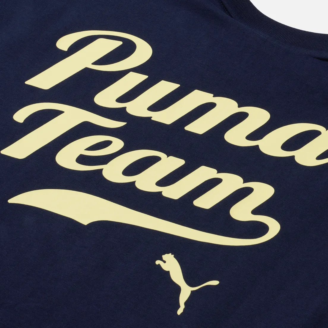Puma Мужская футболка Team Graphic