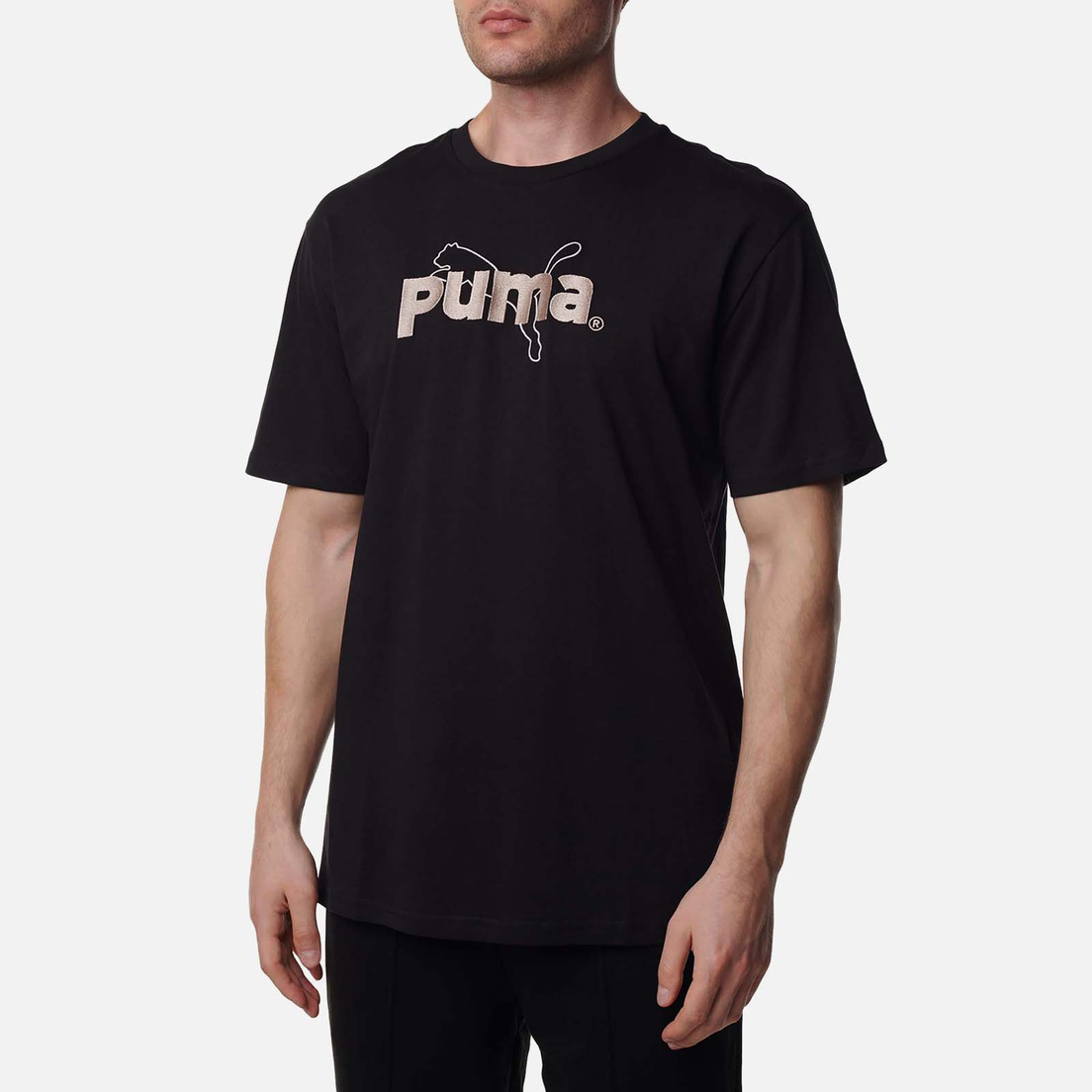 Puma Мужская футболка Puma Team Graphic