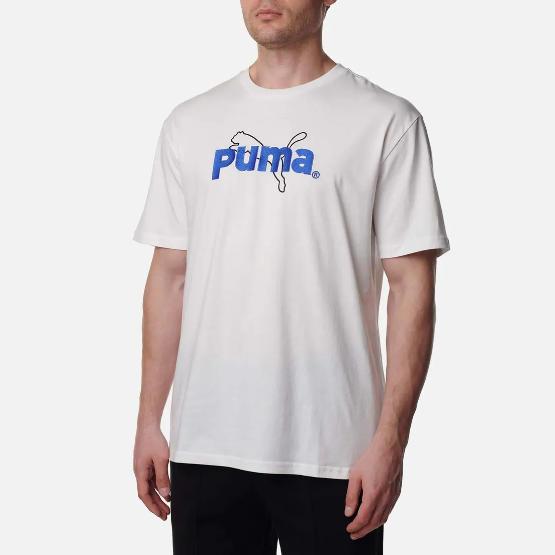 Puma Мужская футболка Puma Team Graphic