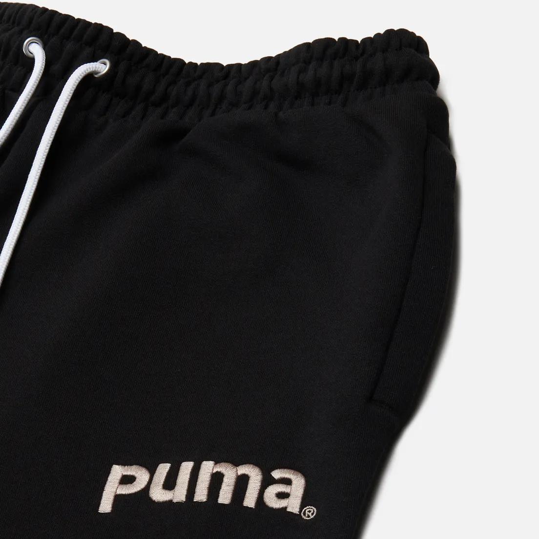 Puma Мужские брюки Puma Team TR