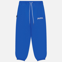 Puma Мужские брюки Puma Team TR