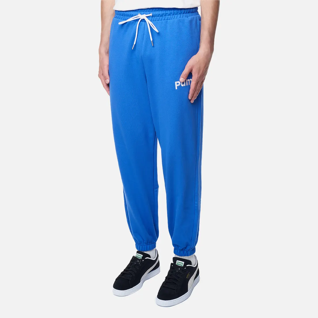 Puma Мужские брюки Puma Team TR
