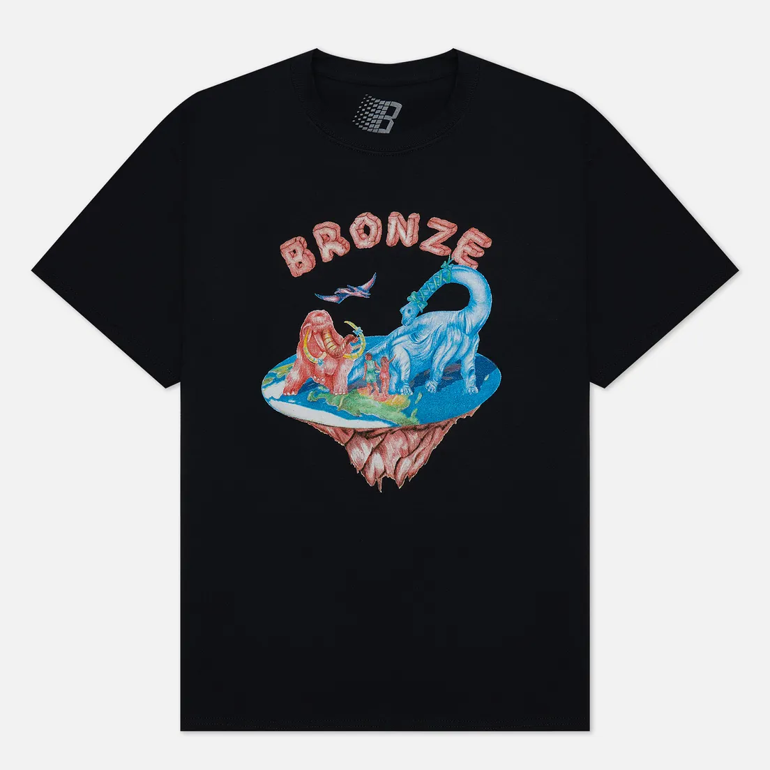 Bronze 56K Мужская футболка Flat Earth