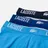 Lacoste Underwear