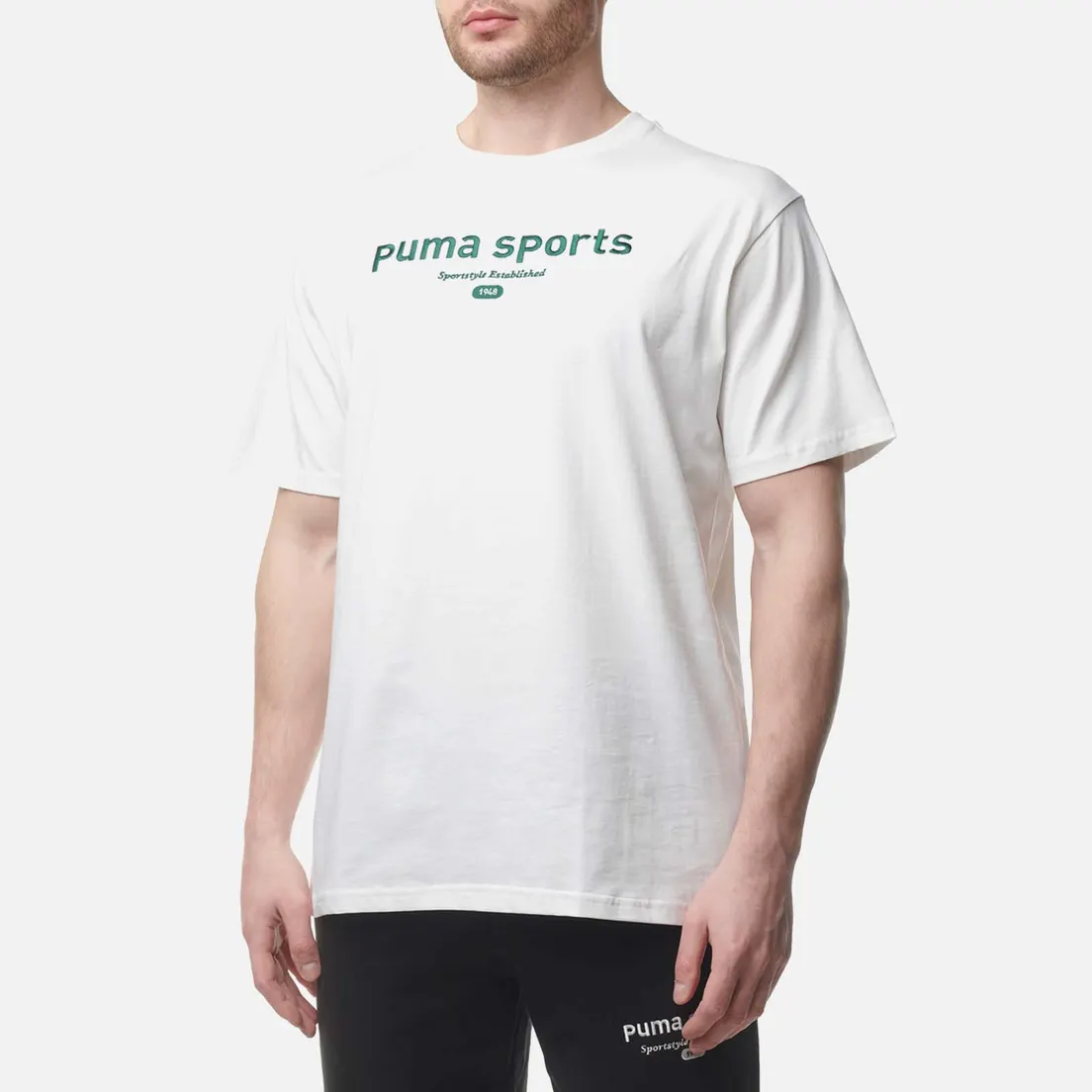 Puma Мужская футболка Puma Sports Team Graphic