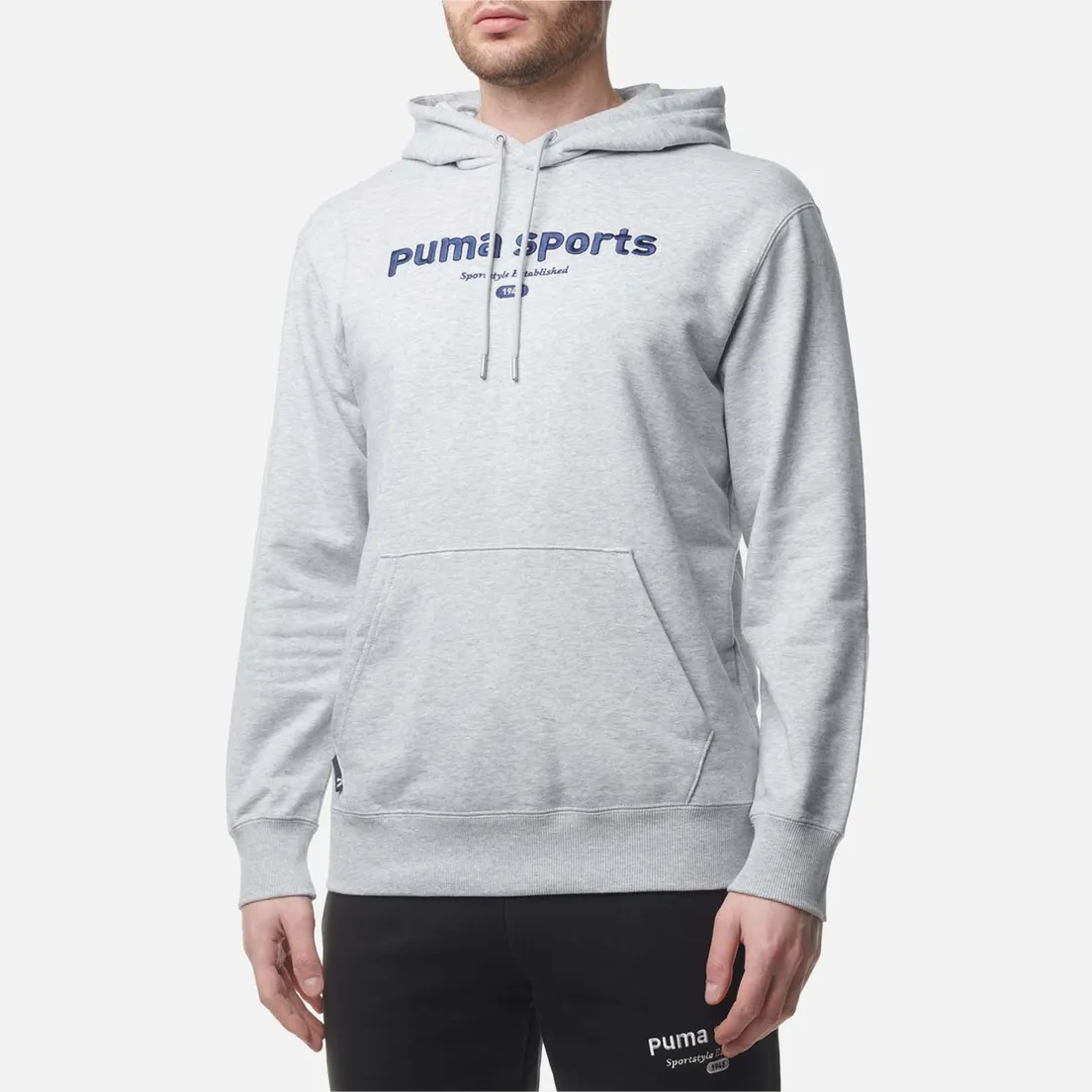 Puma Мужская толстовка Puma Team Hoodie TR