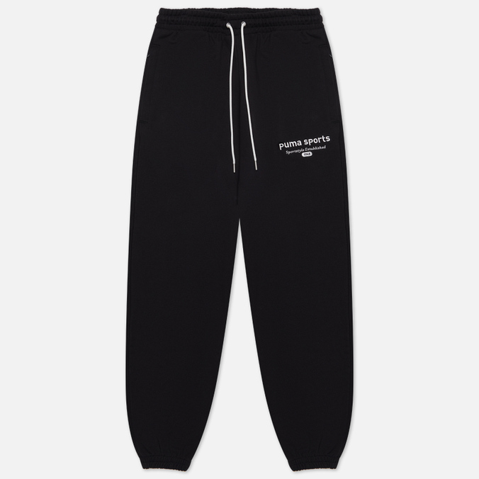 Мужские брюки Puma Puma Sports Team TR, цвет чёрный