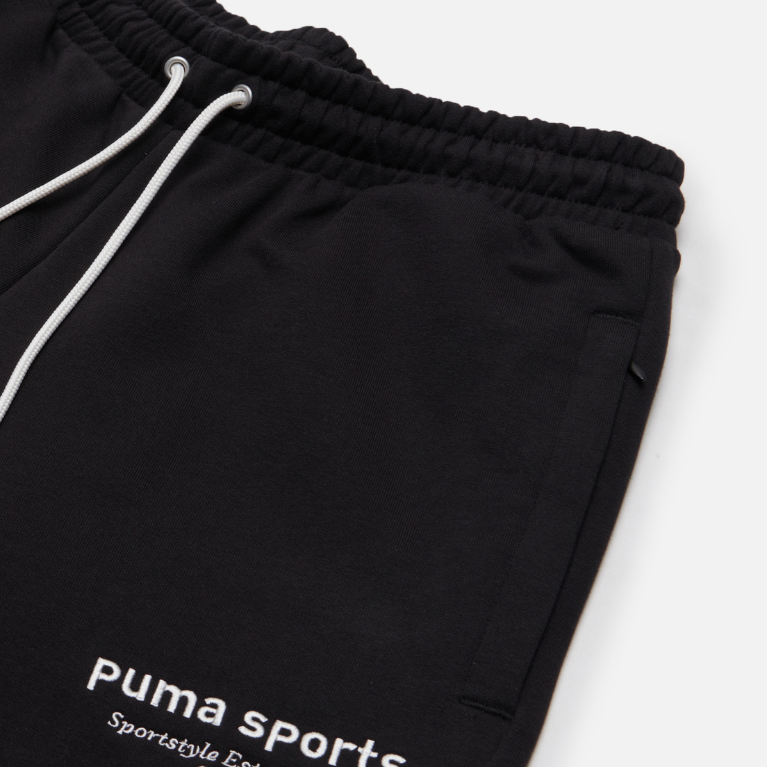 Puma Мужские брюки Puma Sports Team TR