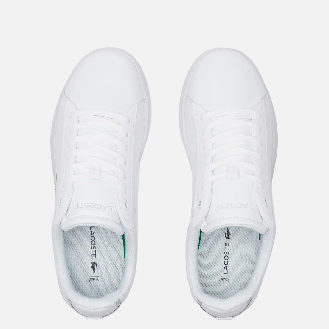 Lacoste Мужские кеды Carnaby Evo 0721 3 SMA