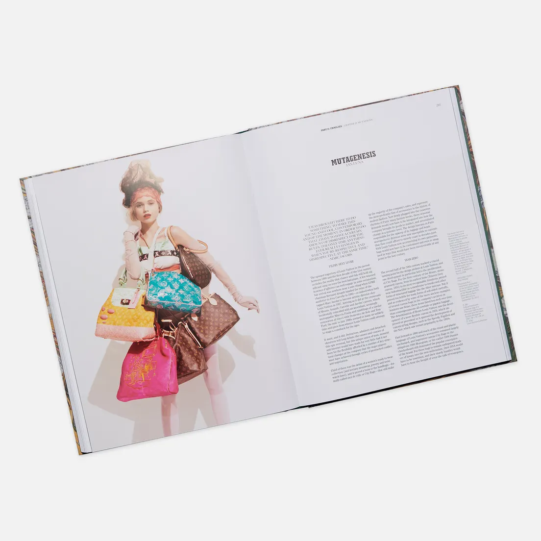 Rizzoli Книга Louis Vuitton: City Bags: A Natural History