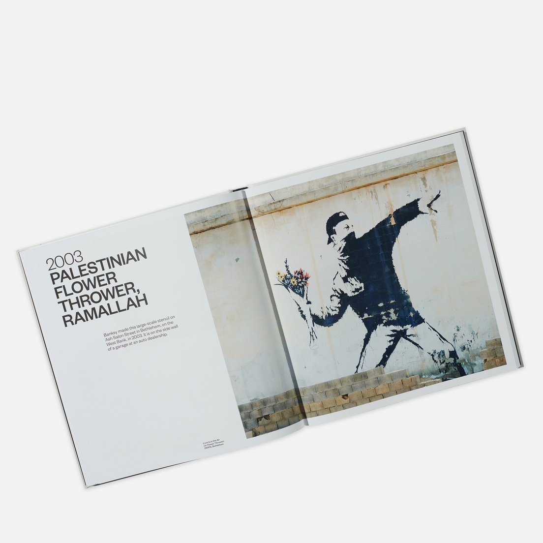 Rizzoli Книга Banksy